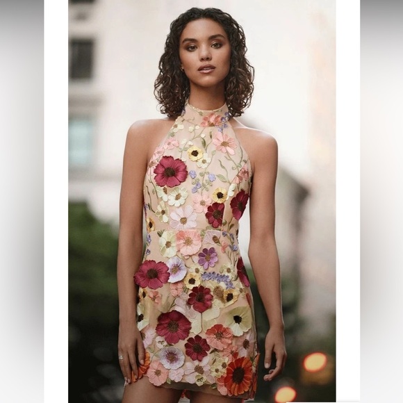 NWT 3-Dimensional Embroidered Floral Sheer Halter Mini Dress Sz: XS - Picture 2 of 16